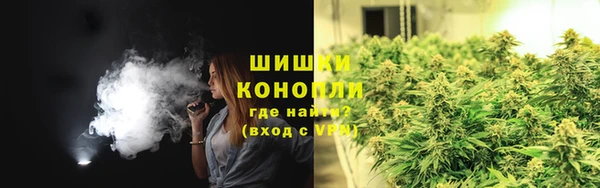 дживик Иннополис
